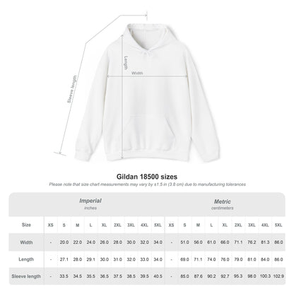 Funny Hooded Sweatshirt - I'm Not Lazy, Just Don't Like Work, Casual Pullover